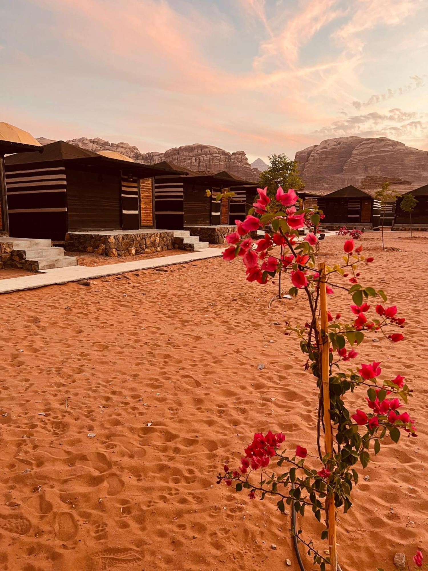 Revan Rum Luxury Camp 와디럼 외부 사진