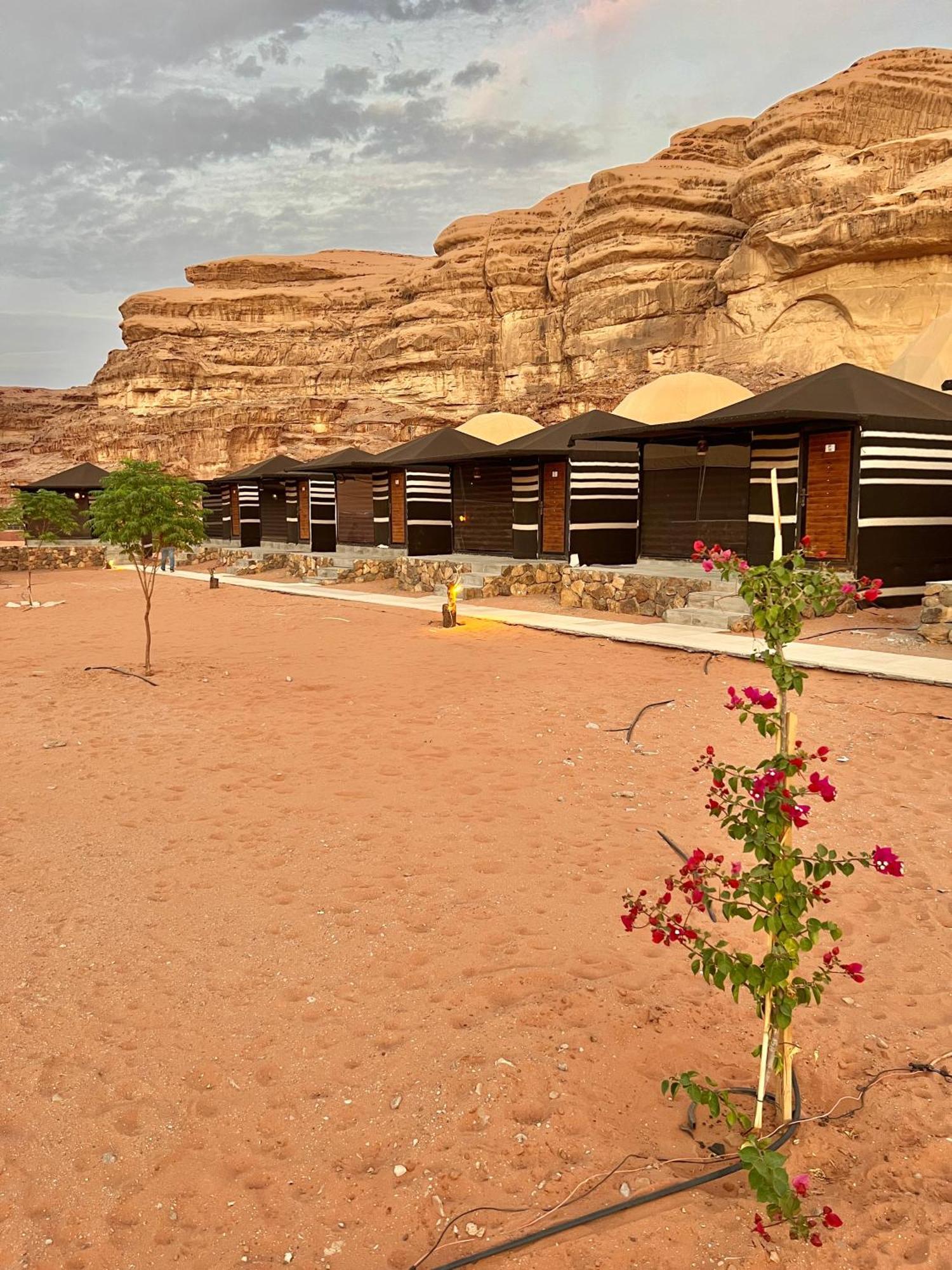 Revan Rum Luxury Camp 와디럼 외부 사진
