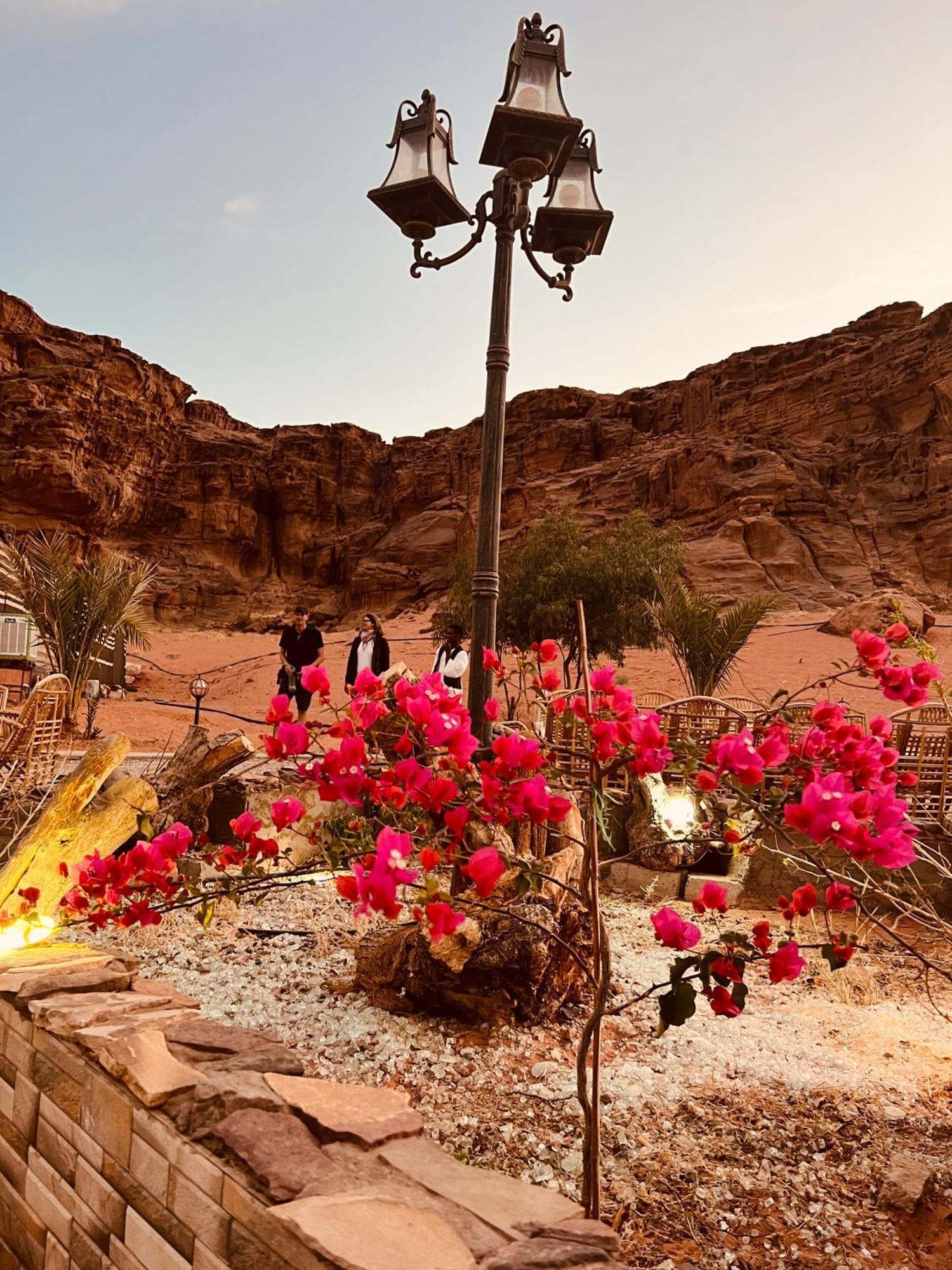 Revan Rum Luxury Camp 와디럼 외부 사진